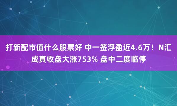 打新配市值什么股票好 中一签浮盈近4.6万！N汇成真收盘大涨753% 盘中二度临停