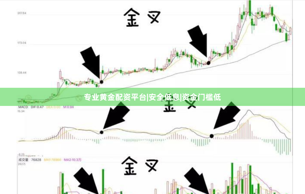 专业黄金配资平台|安全低息|资金门槛低